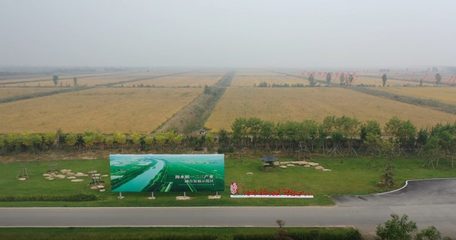潍坊海水稻三产融合发展示范区十万亩种植基地测产丰收!