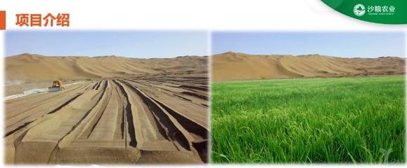沙漠可以变良田,沙粮农业获4250万元天使融资